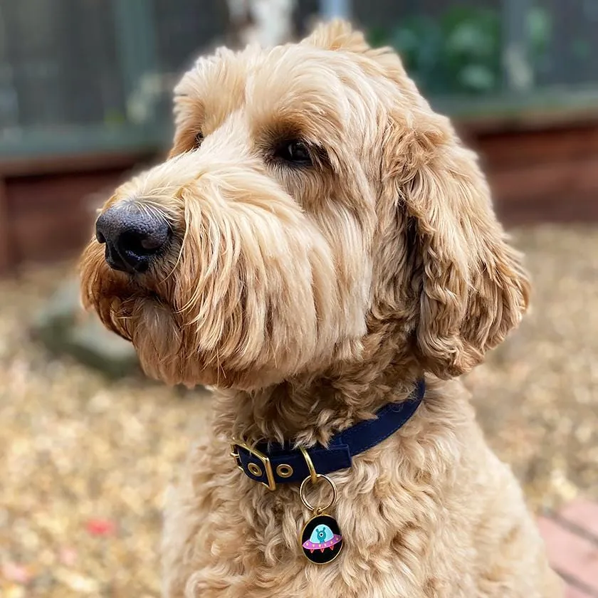 Close Encounter Enamel Pet Charm